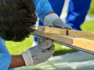 5886436323835889760 (1)